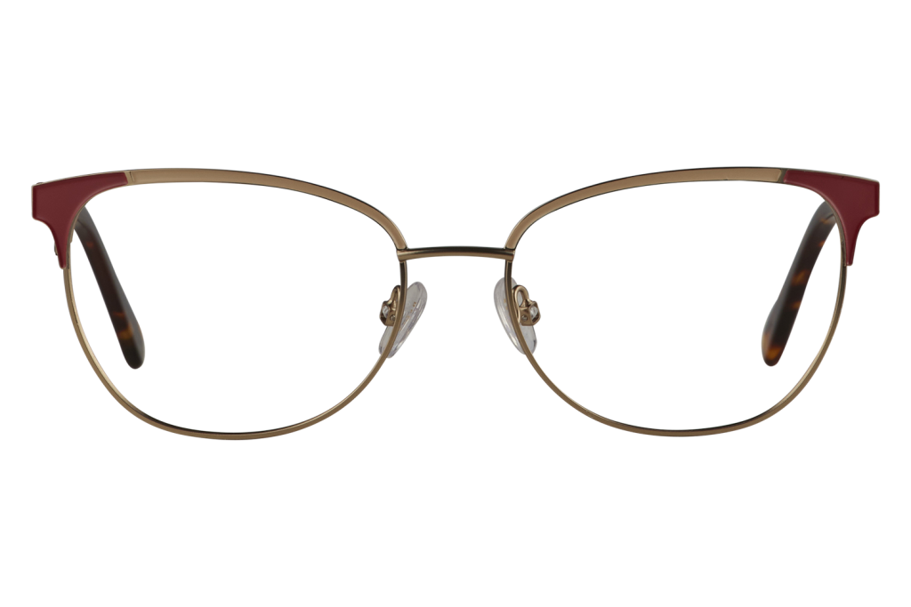 Gold metal-frame eyeglasses with red plastic temple tips and clear nose pads.
