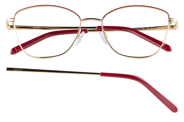 Gold-framed eyeglasses with red temple tips, front view showing nose pads and brand on arm (Destiny).