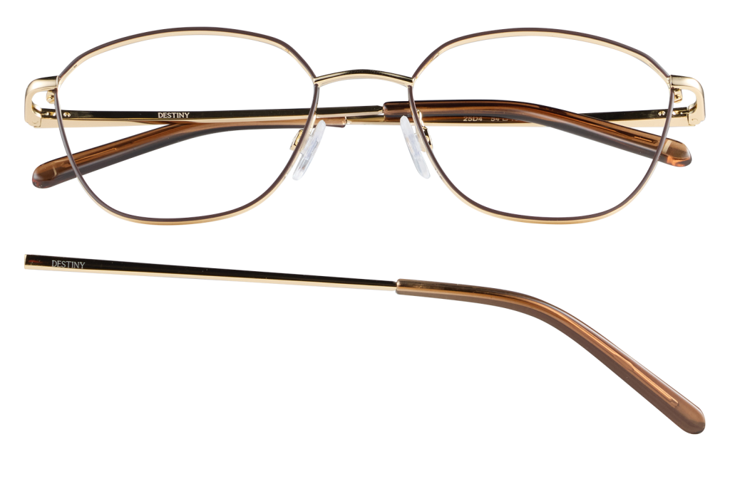 Gold-tone rimless eyeglasses with rounded lenses and tortoiseshell temples, Destiny branding visible on the arm.