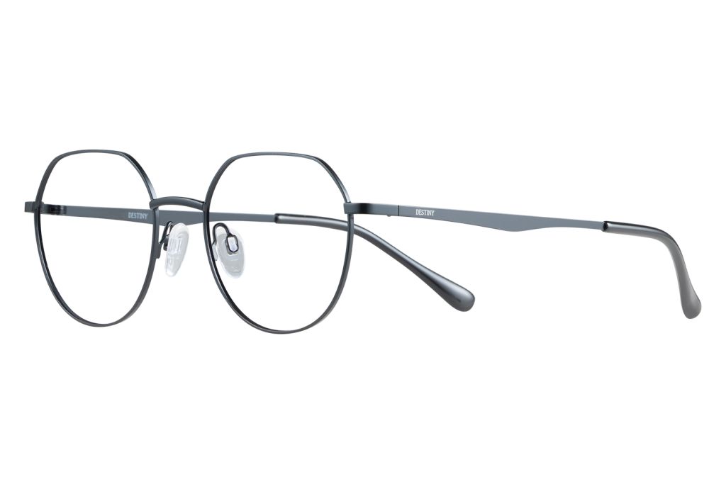 Round black metal eyeglasses with adjustable nose pads and 'DESTINY' on the temple edge.