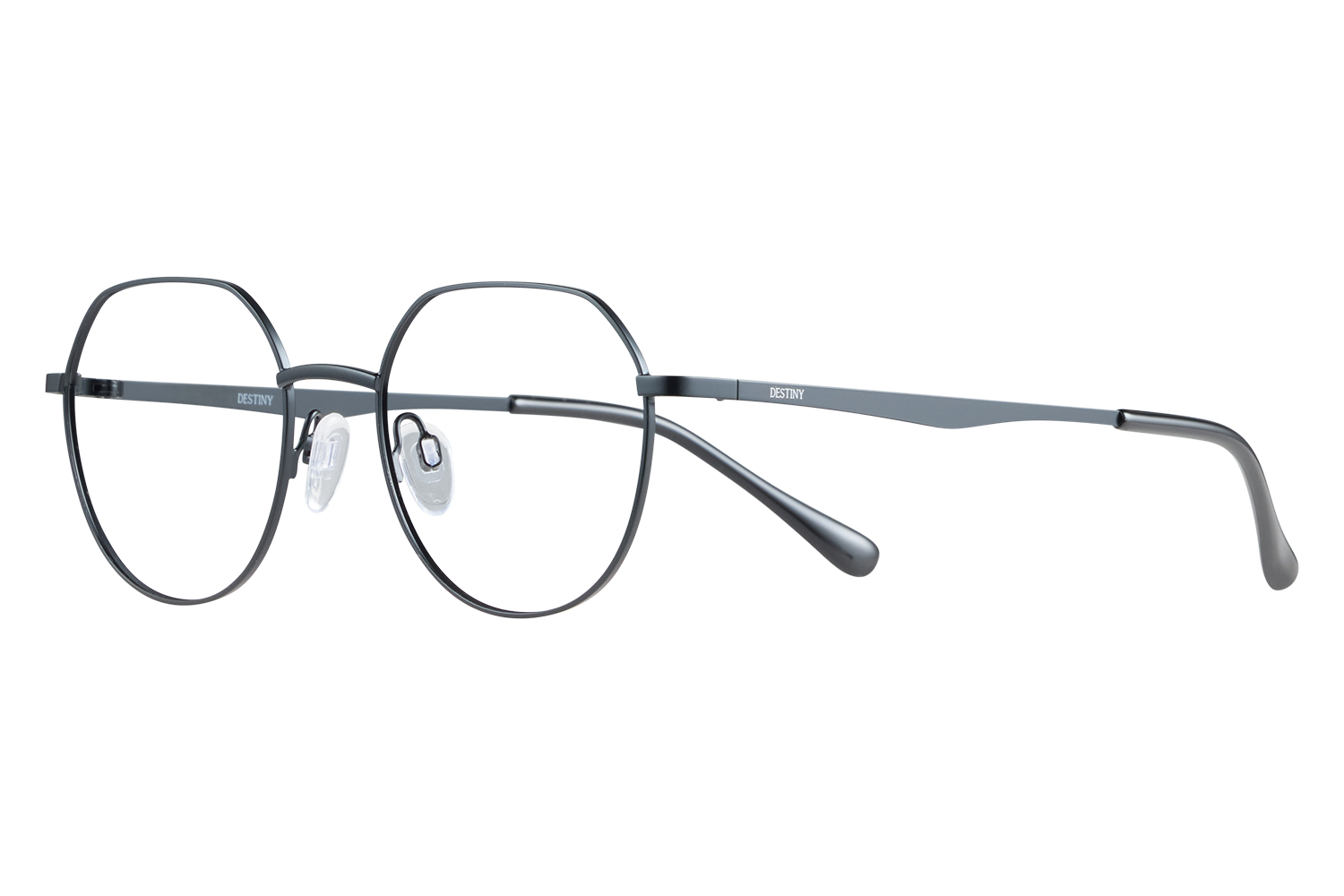 Round black metal eyeglasses with adjustable nose pads and 'DESTINY' on the temple edge.