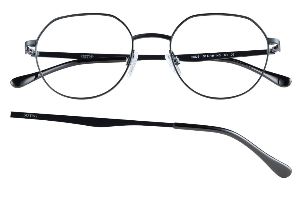 Black round metal glasses with adjustable nose pads and Destiny branding on the temples.