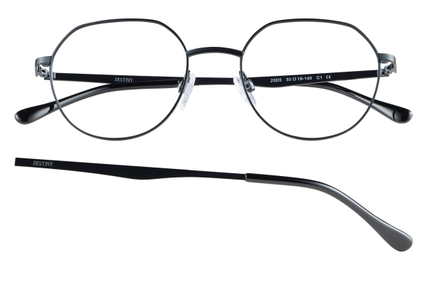 Black round metal glasses with adjustable nose pads and Destiny branding on the temples.