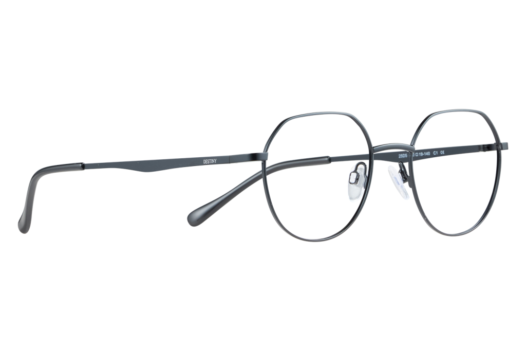 Round metal eyeglasses with clear nose pads resting on a white surface; temple reads DESTINY.